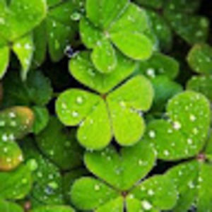 Meet your Posher, Esther